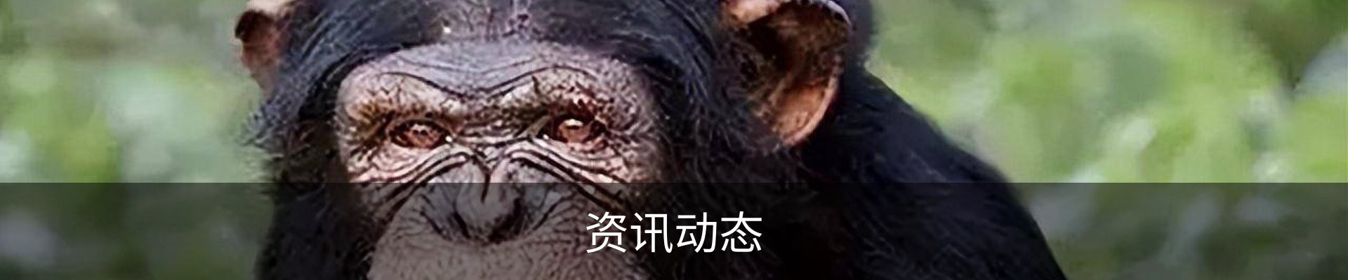 资讯动态