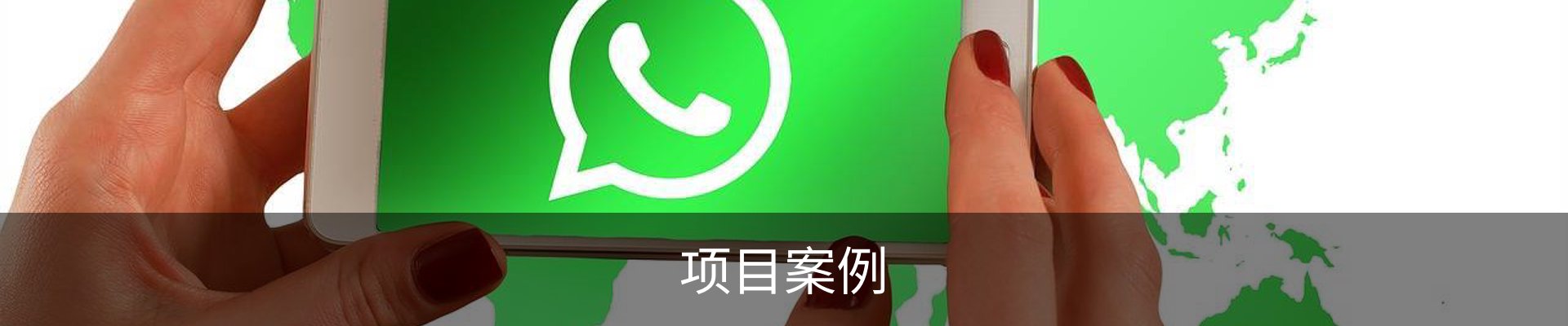 项目案例